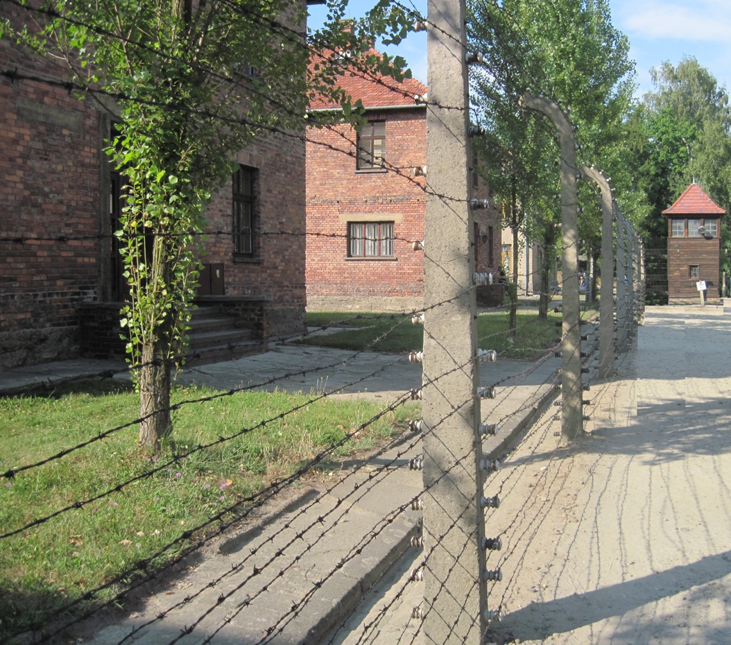 15-Auschwitz-  Una parte del percorso